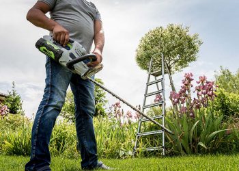 Trimming and Pruning Old, Young and Dwarf Citrus Trees in Australia