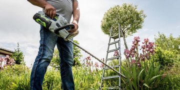 Trimming and Pruning Old, Young and Dwarf Citrus Trees in Australia