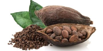 Things to make with and how to use cocoa powder