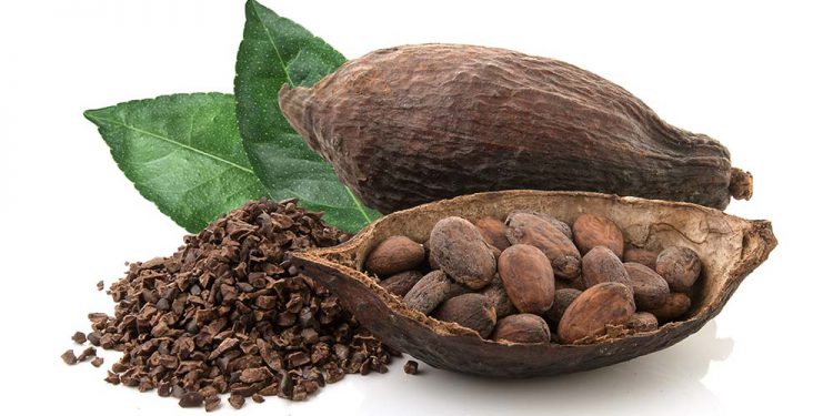 Things to make with and how to use cocoa powder