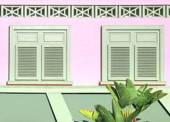 Why do they call them plantation shutters? Are plantation shutters offensive? What’s another name for plantation shutters?