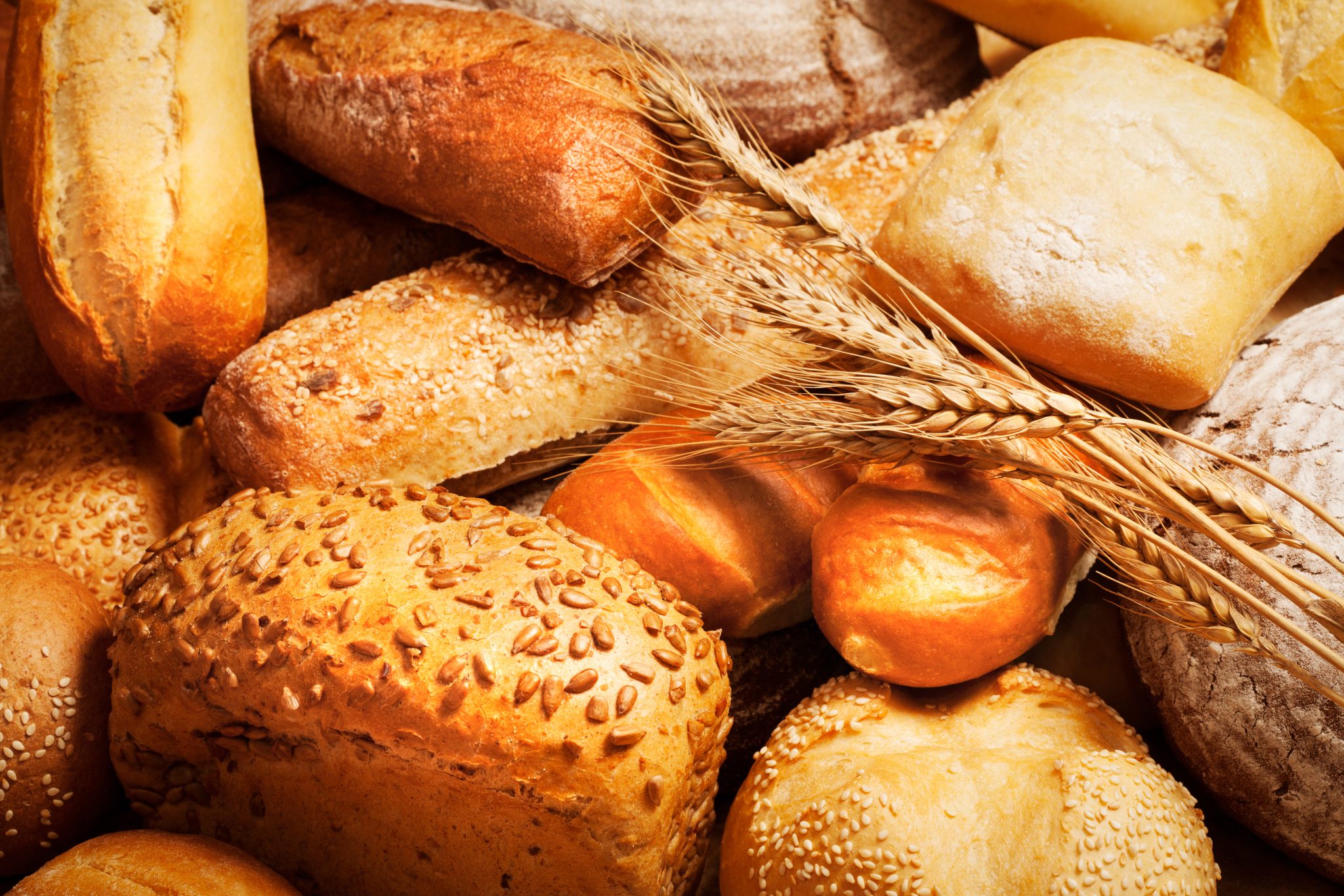 how-many-kinds-of-bread-are-there-what-are-the-different-types-of