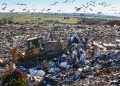 Heavy machinery shredding garbage in an open air landfill. Waste