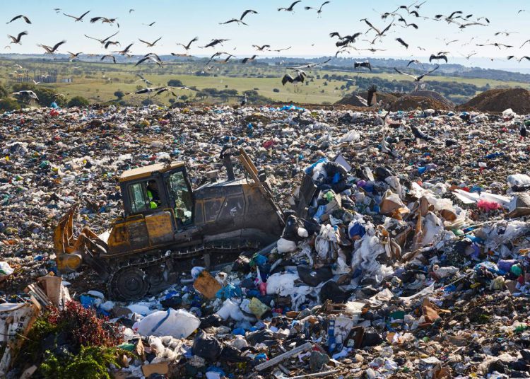 Heavy machinery shredding garbage in an open air landfill. Waste
