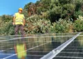 A man with short brown hair in a yellow hardhat and vest stands near solar panels on a sunny day.