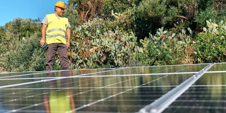 A man with short brown hair in a yellow hardhat and vest stands near solar panels on a sunny day.